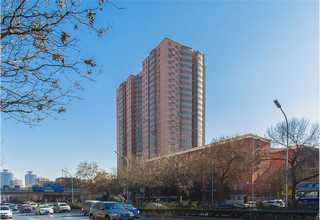 日照大型会议室座椅采购