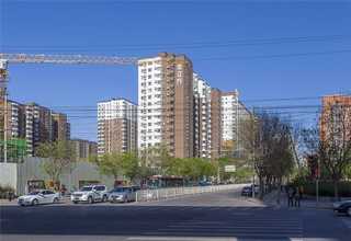 枣强项目视频魔方信息中心